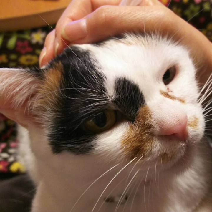 1970216e 2ec8 409f 819c 69c9d444bb0c 1548162284763