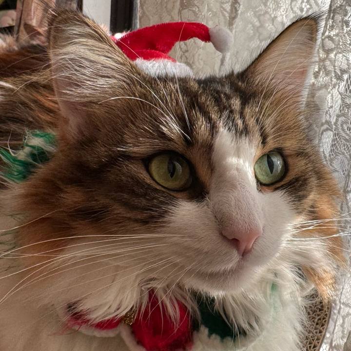 19707cb6 b229 4bb4 a63e 06e7d2121821 1765172859046