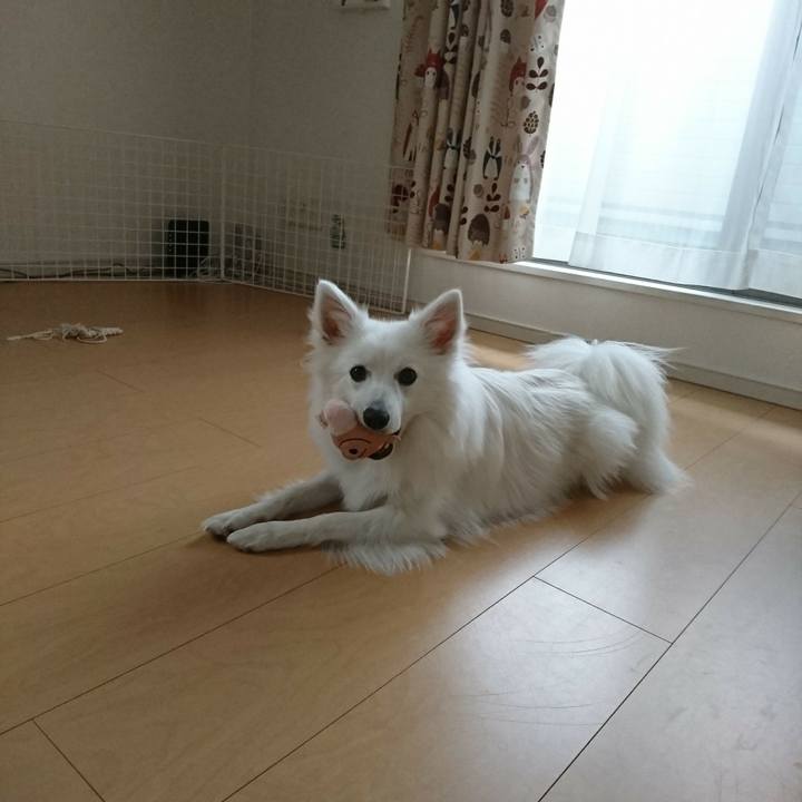 19707ee0 f932 4dfc 8a3c 4aab00fef619 1521445202953