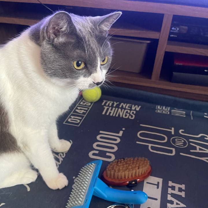 19709dfa 7509 4599 ae70 b0dd0e497b8a 1720306809066