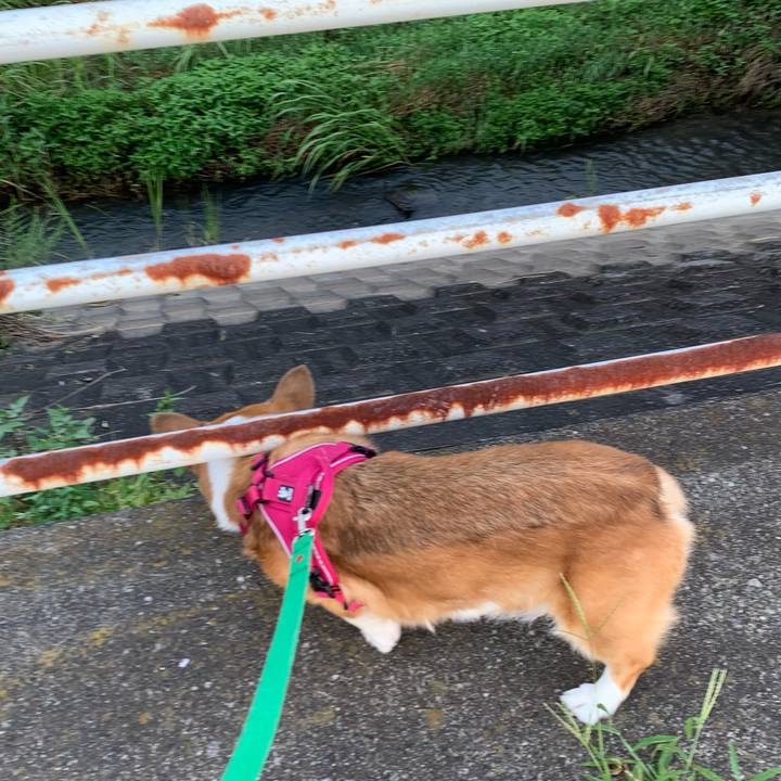 1970b25c 7e8d 4d9e 8e56 3d2d59d1255f 1626820861465