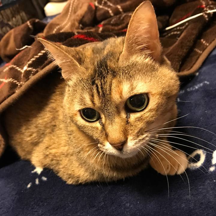 1970ce5b 67a3 4b92 972a ac2e587b9024 1511240160709