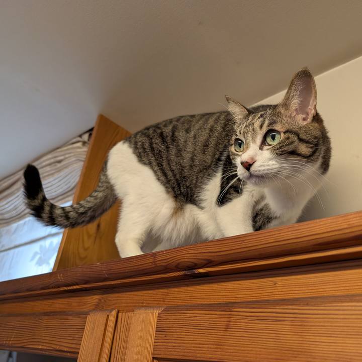 19710f20 f5c4 4a8d 87a0 e66aeb2b549a 1765061717909