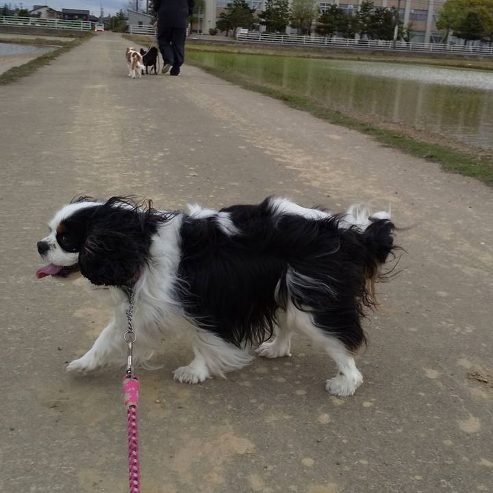 19710f26 c3b4 46d7 a919 34335cd7a1fd 1588696510085