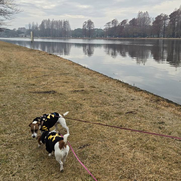 19712061 bb10 445c b81b f2fbdaed3f3b 1766332698279