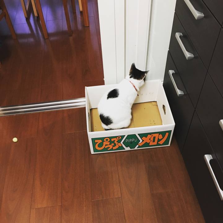 19713363 d9c4 40a5 872f 1c4b1cdb0412 1596232191767