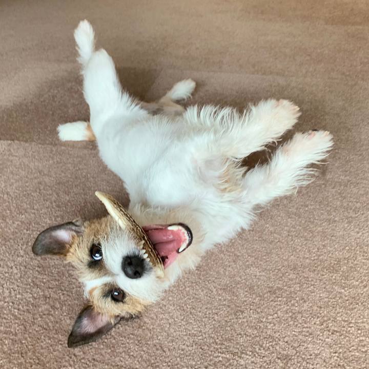 1971451a 8b3e 4ac3 96ce 336f942cc67c 1584599257664