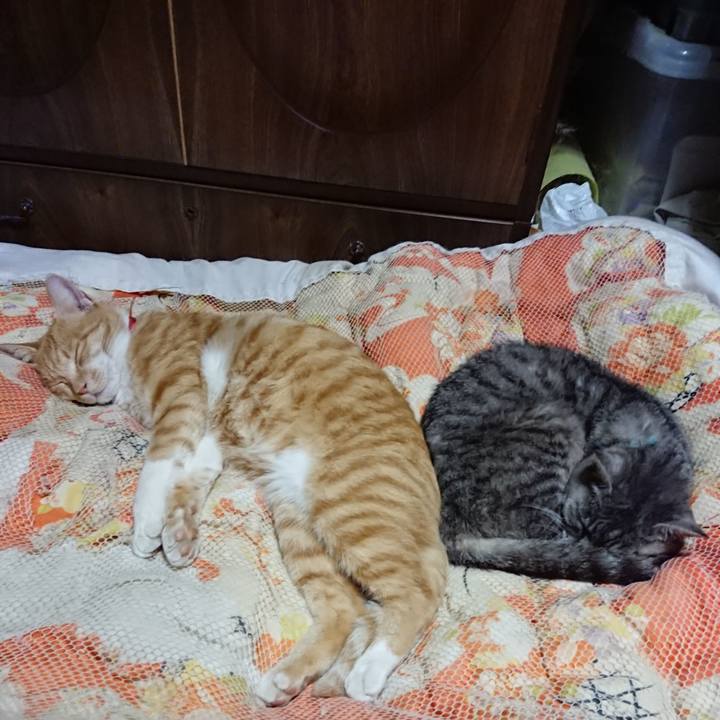 19714a70 8bb4 4424 a1f3 d395632bb55b 1570541043358