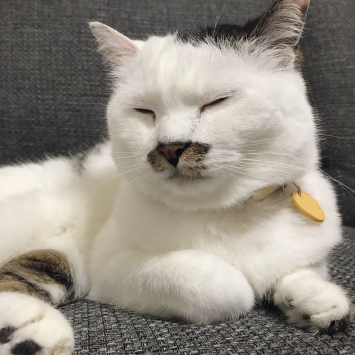 19714eb2 5301 4220 a5c9 d0e682de0c2f 1558147184902