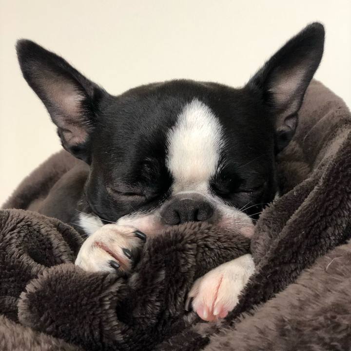 197150a1 1ee7 48fc 9b5d a8209ba2b3b7 1556682210585