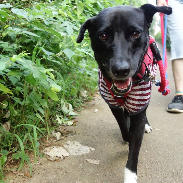 19719fa5 2885 490d 9631 4010ac744e0f 1596672449993