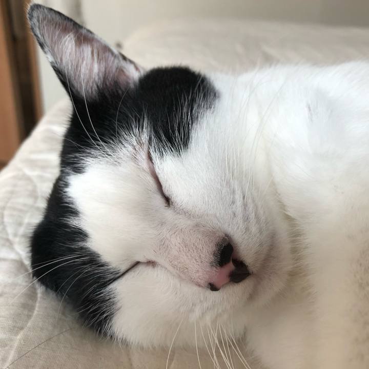 1971a836 12cd 4919 8e74 74fb5d230413 1566733143290