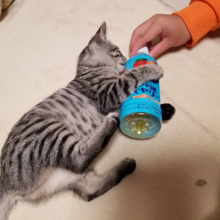 1971b26d 1a5c 478a acf7 222d53f74d3f 1666533722768