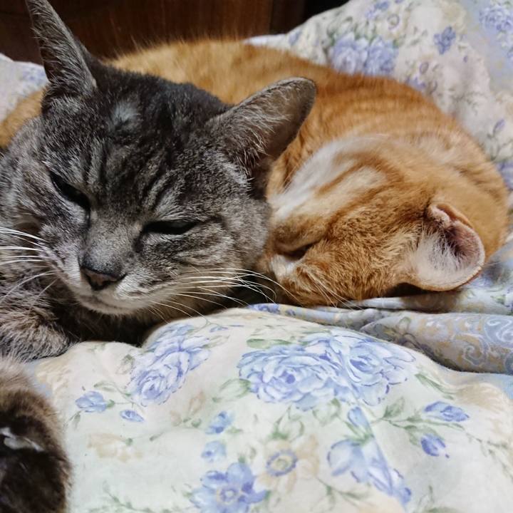 1971c304 57c6 4a34 a2b4 5d196fb86d1d 1583496589258