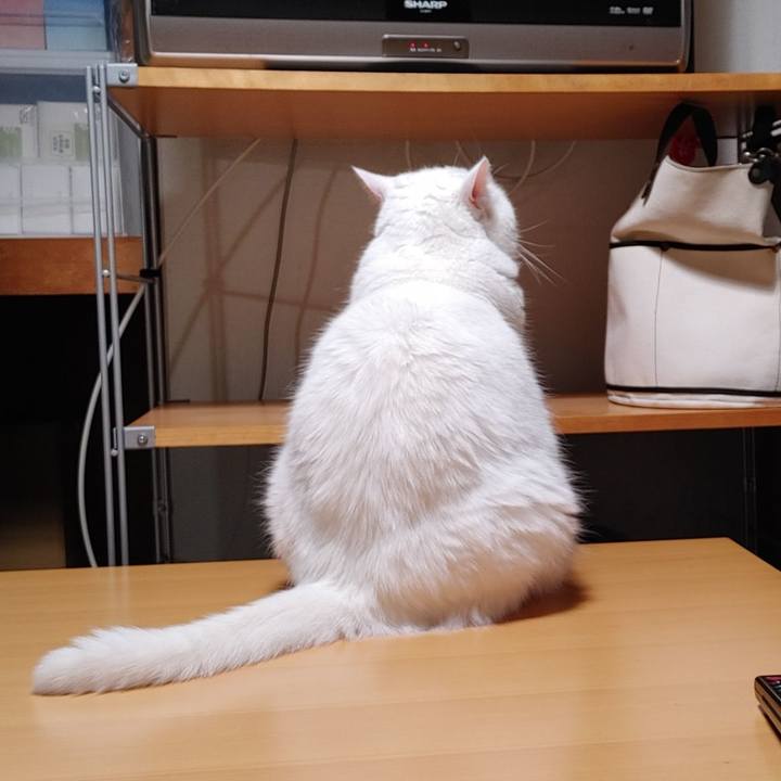 1972217d 800e 4317 b88e 2e5ac49af281 1660311756096