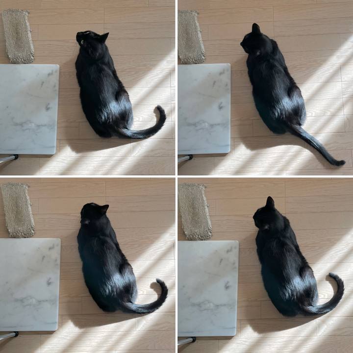 19723160 8750 4d0e b2b6 7d29aff7c3da 1659011564404