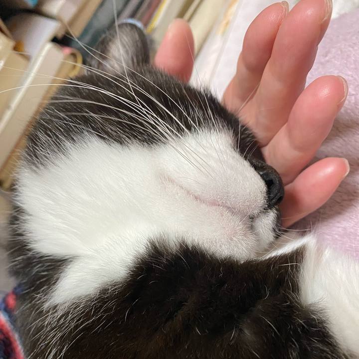 19723a74 ef69 4ffd 8cb7 2fed3d29e1fe 1646108573077