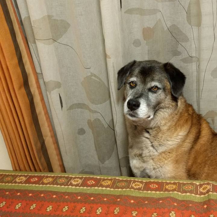 19724f73 b4b0 43c7 861c b9b68ec85a0c 1525438323288