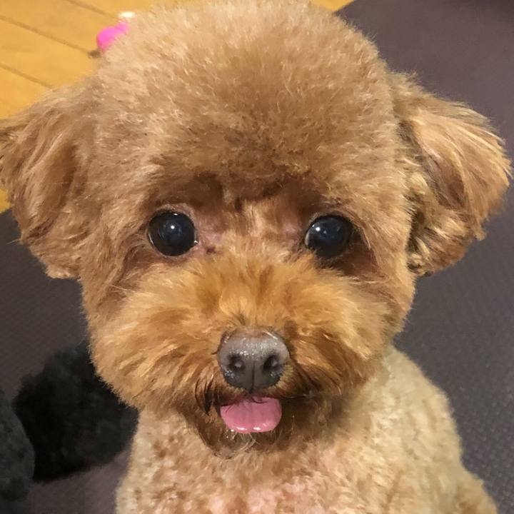 19725cbd fca0 4edf a850 dbf0e401b561 1570960601714