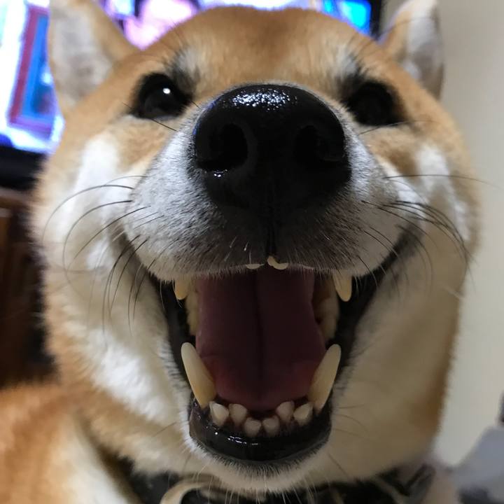 197262cd c1dd 40b7 b160 a3a5b60cf220 1538743461670