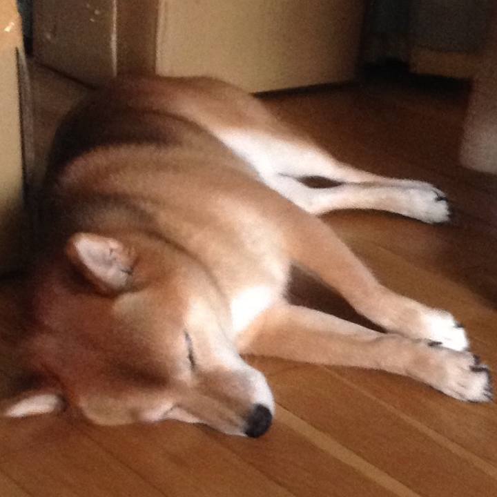 1972b446 9643 410a 87bf 46f517ca82fa 1533190965858