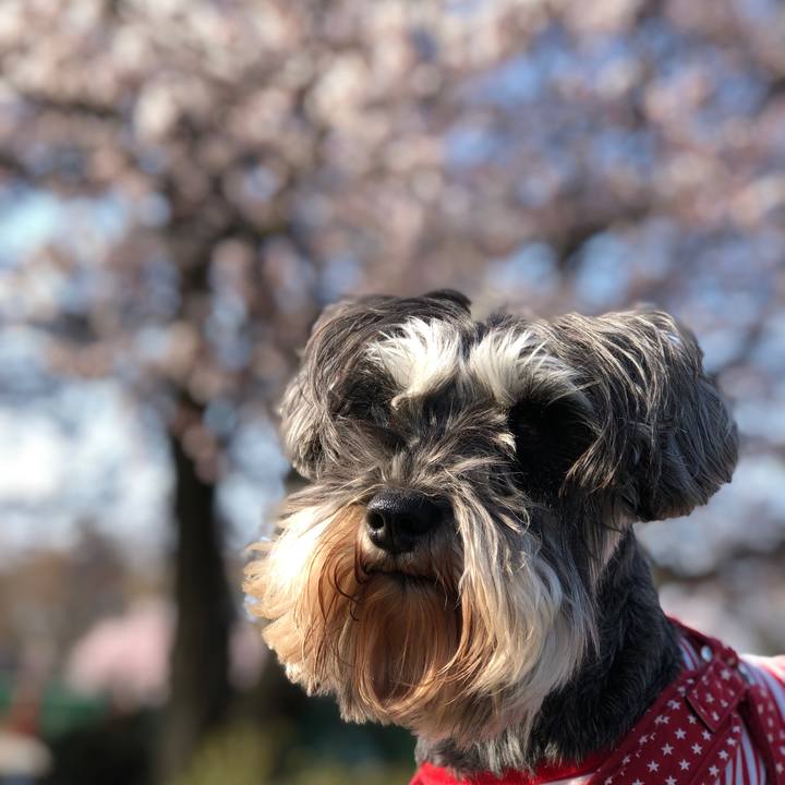 1972db24 cf1d 40c1 90ae 25e5dd46d2f7 1554550146240