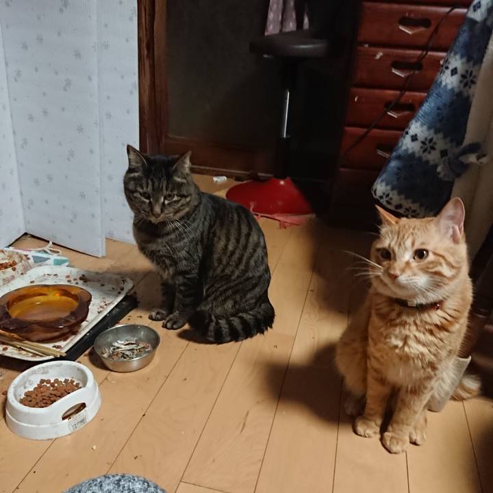 1972f0c4 beb4 4aaa b4d0 5417e64497d0 1644093418634