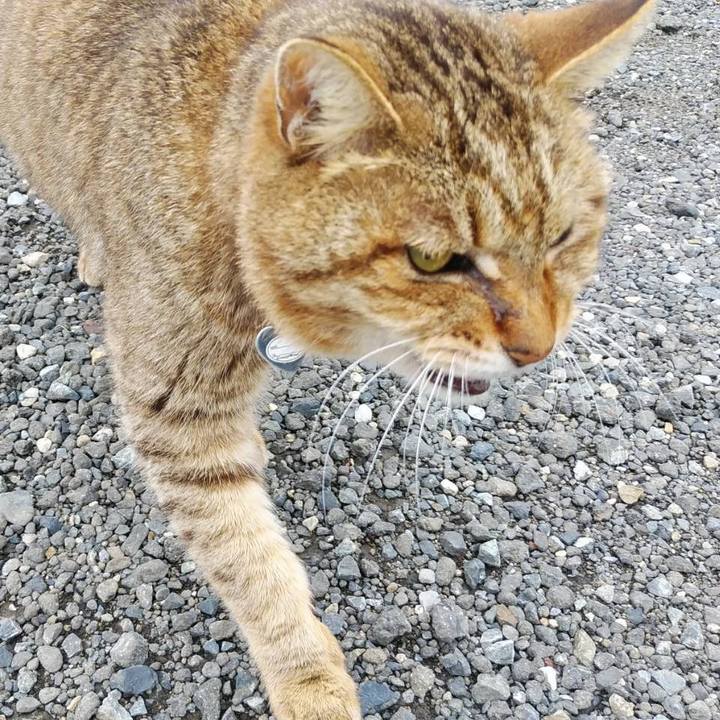 19730671 e89f 47aa 9f0f 0c447e7fce44 1590105537263