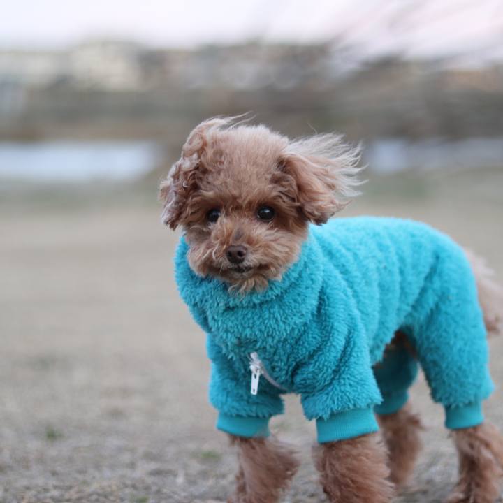 19733420 f652 4a6d af55 6ab472c2bc51 1588592693695