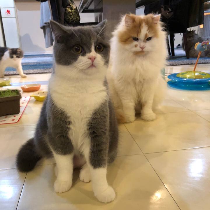 19735535 1897 4d7b b503 a2392e8a294a 1514977824642