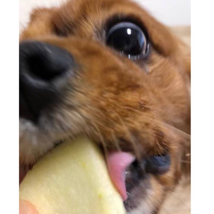 19736d9e 41f5 4186 99eb ffa4af015086 1585348337157