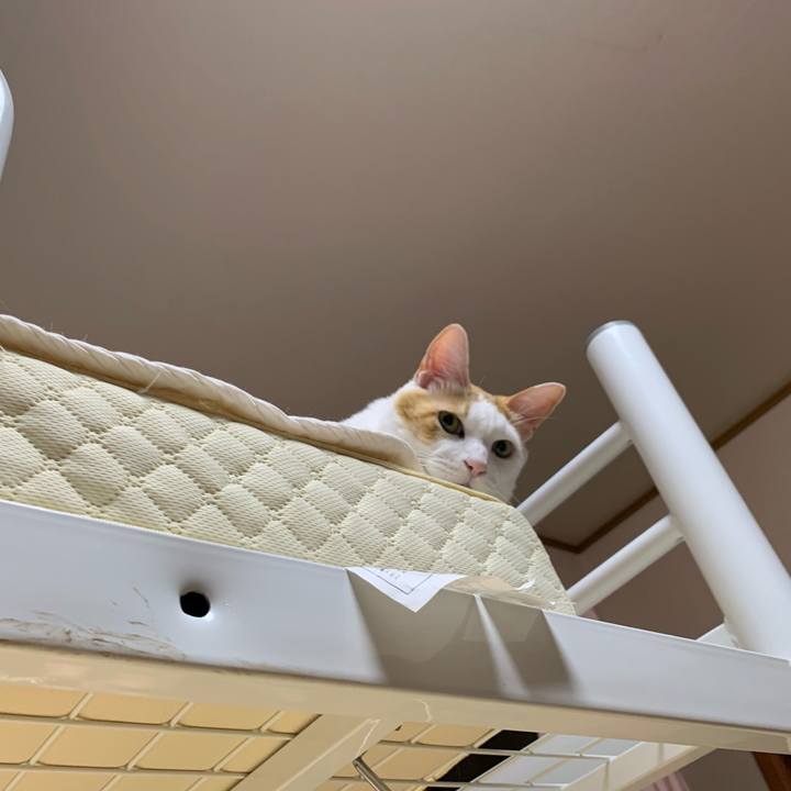 197386d5 7097 4b3e 9a40 14414e043db1 1605649147366