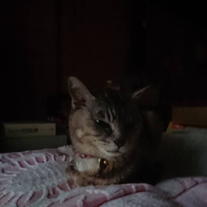 1973a573 ac27 4946 bd6d 3ae0b295b8ab 1592338913279