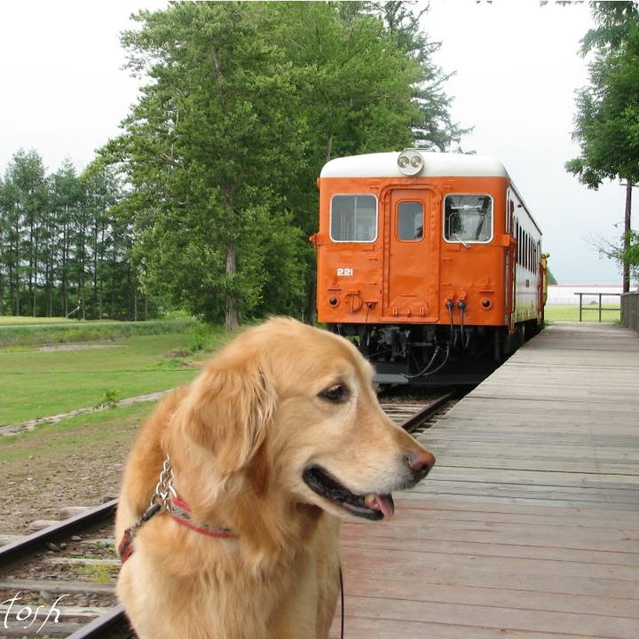 1973b21e 68cb 4724 b84b 82e026c591bb 1625629909051