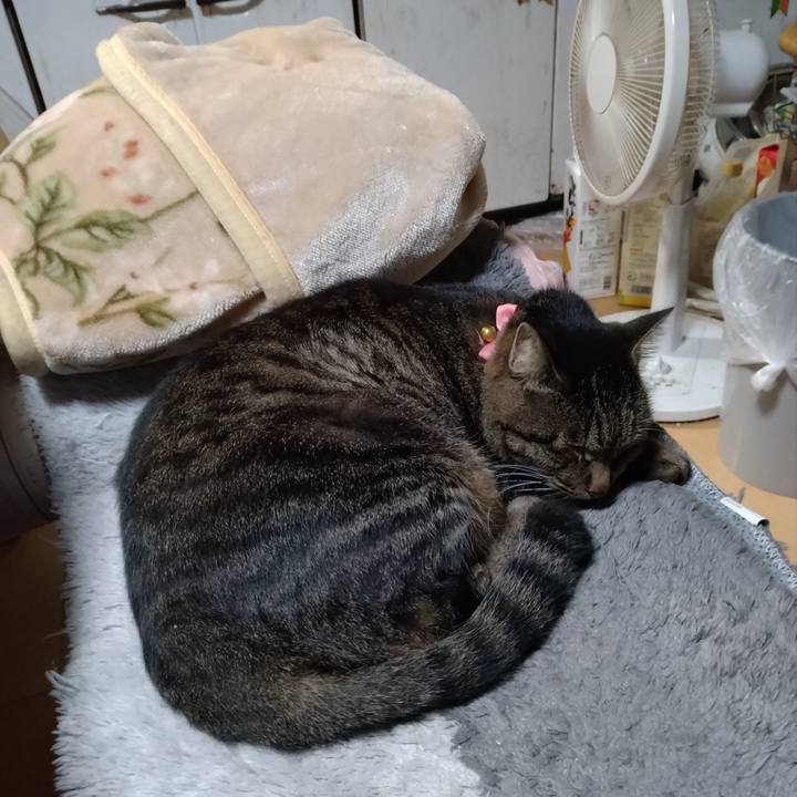 1973c520 0496 4207 ac4f e2ed3d20069c 1666868689783