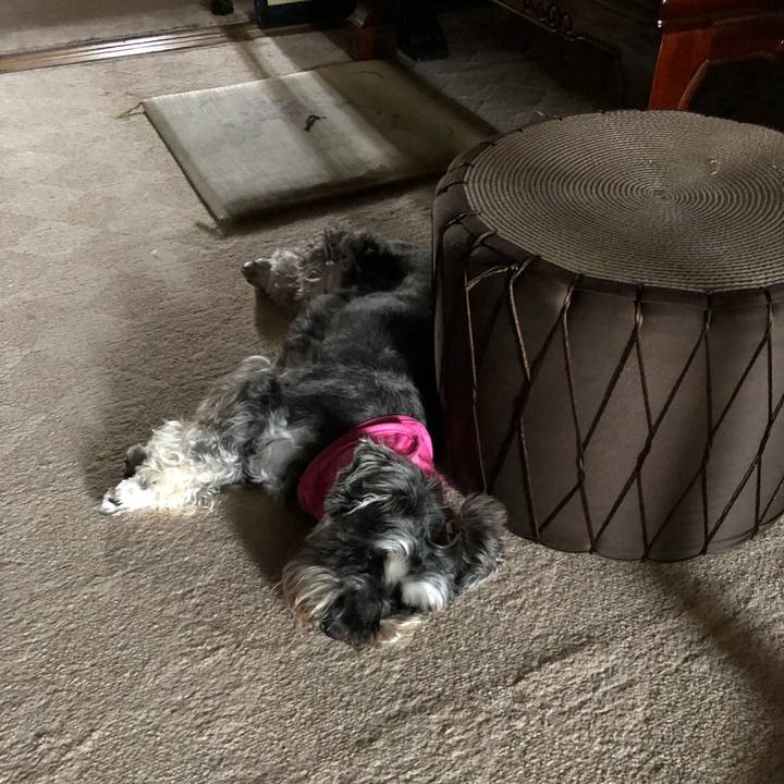 1973e3d8 dbdb 4732 a3e2 d39c62b477ed 1563674971650