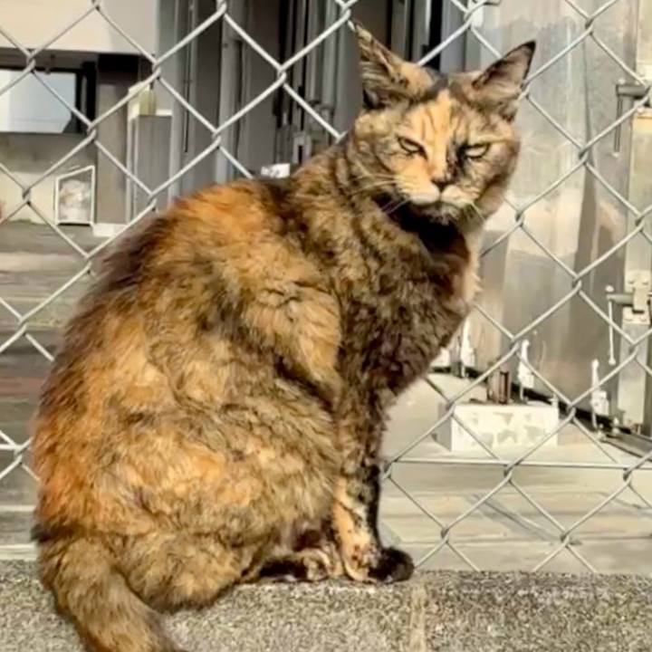 1973f6b5 f631 4fd4 accd 7434e28450a0 1764470169723