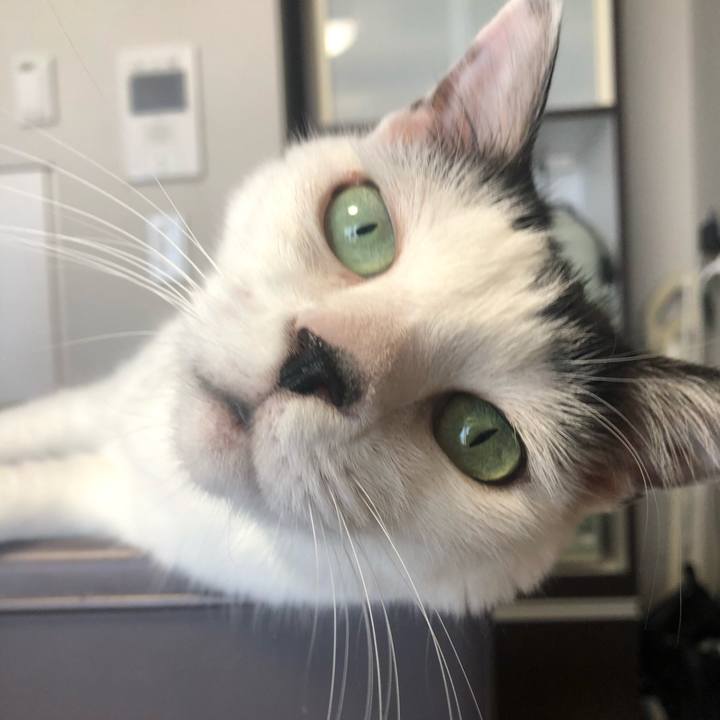 197411ed 87f4 46c4 8ade 96bbd54a9d84 1599622861340