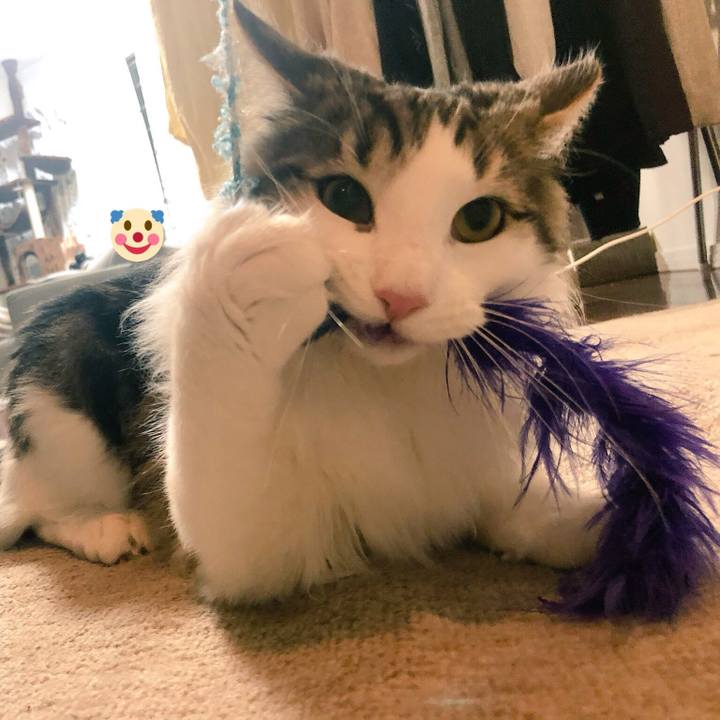 19742d33 2594 44c4 8571 87e25e12f022 1521725363443