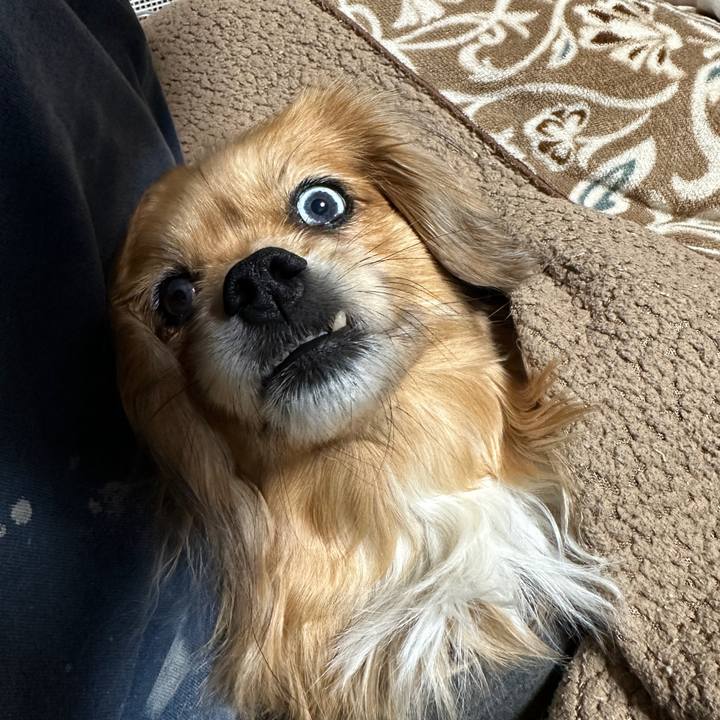 19743d86 cd69 4706 b7b5 ba6e00314386 1676669290610