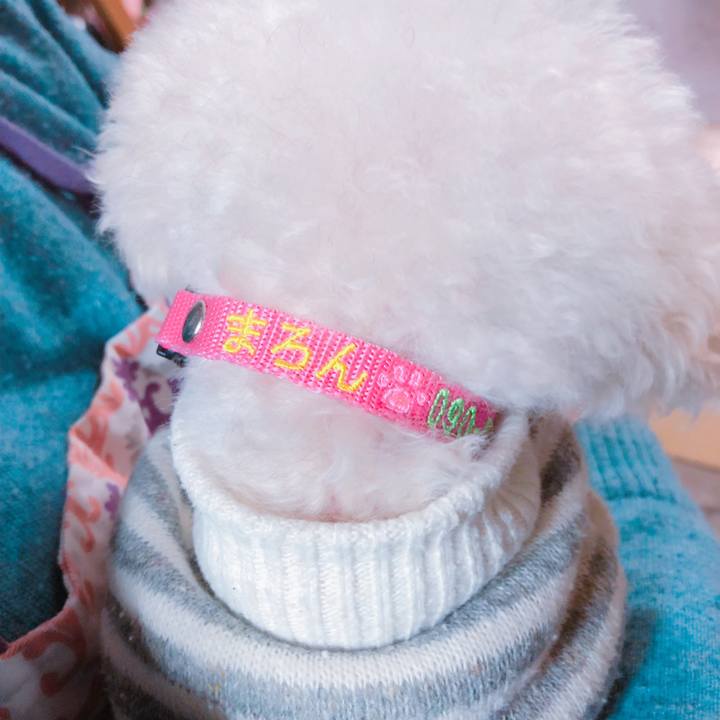 19748751 428d 4576 8fa7 be8c2e80a20e 1547213661564