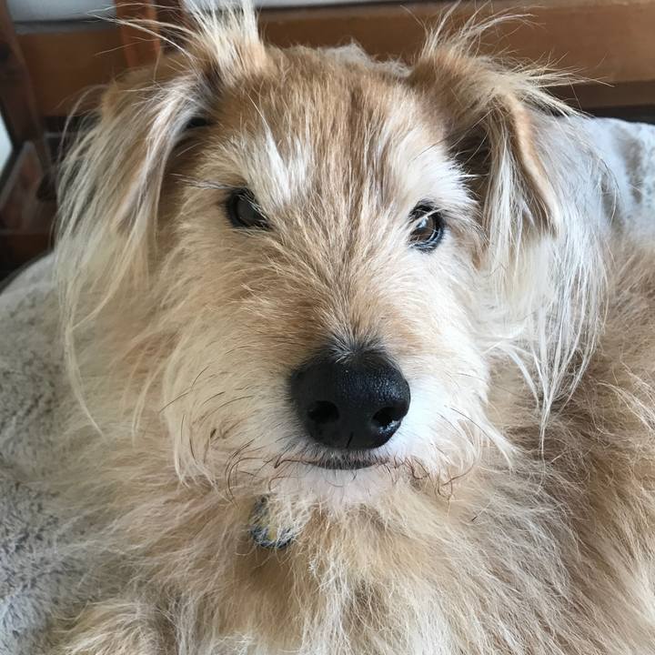 1974dbef 7737 4711 be28 82e05518aec5 1583878697977