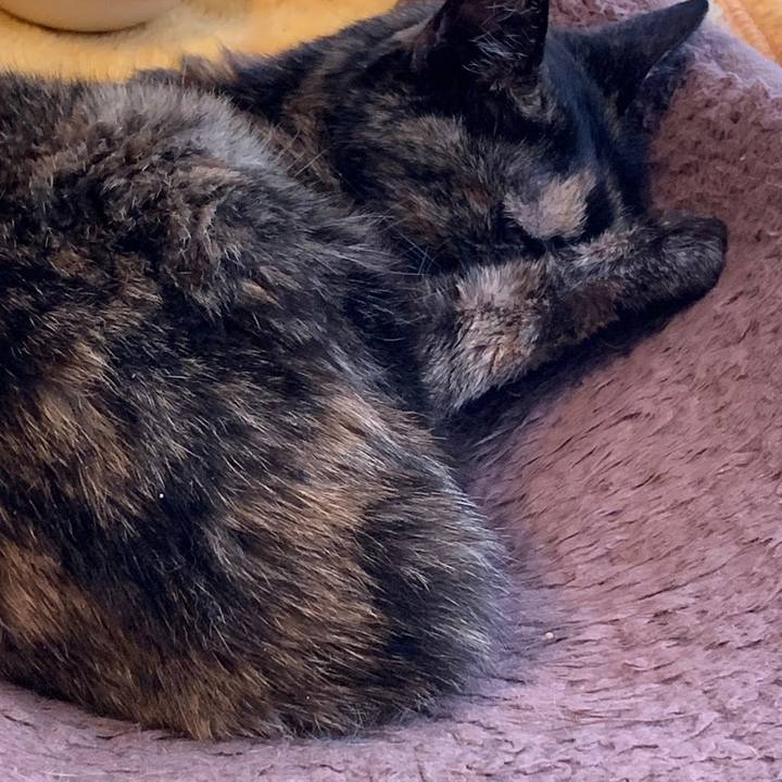 1974ef06 dcd0 49b9 8de5 859f064b0789 1677221767959