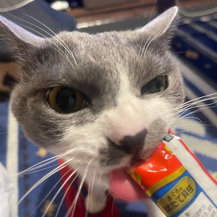 1975275d f1f1 49c9 8c39 2723dcfec6a8 1679559097218