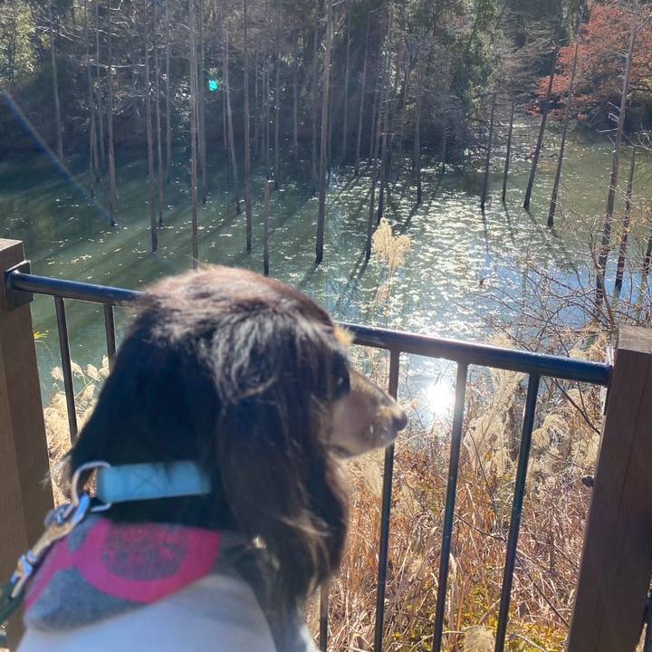 19753d89 a3aa 43e5 b6aa 8eee220e1804 1735800652884