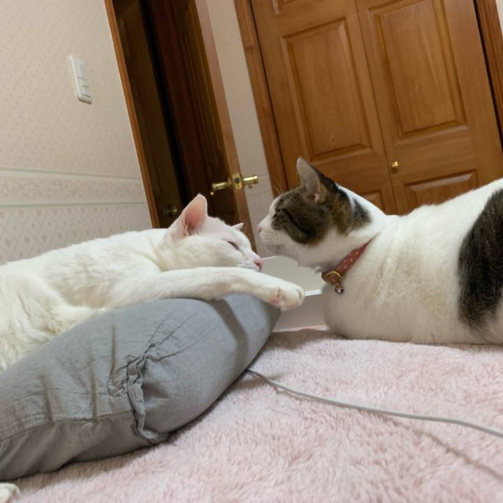 19757108 dc46 4f3f 95c0 df6ab7230585 1639480725715