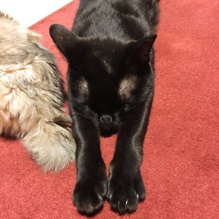 19757425 e9b5 44e6 ae7a 638acc46ae8e 1516797182672