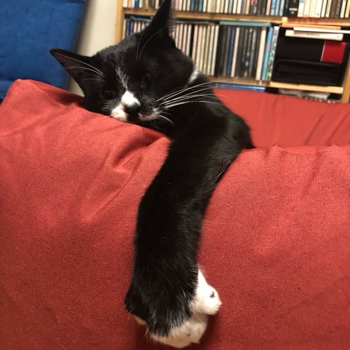 1975cf90 6081 4730 882a 93eeec42a365 1546062602576