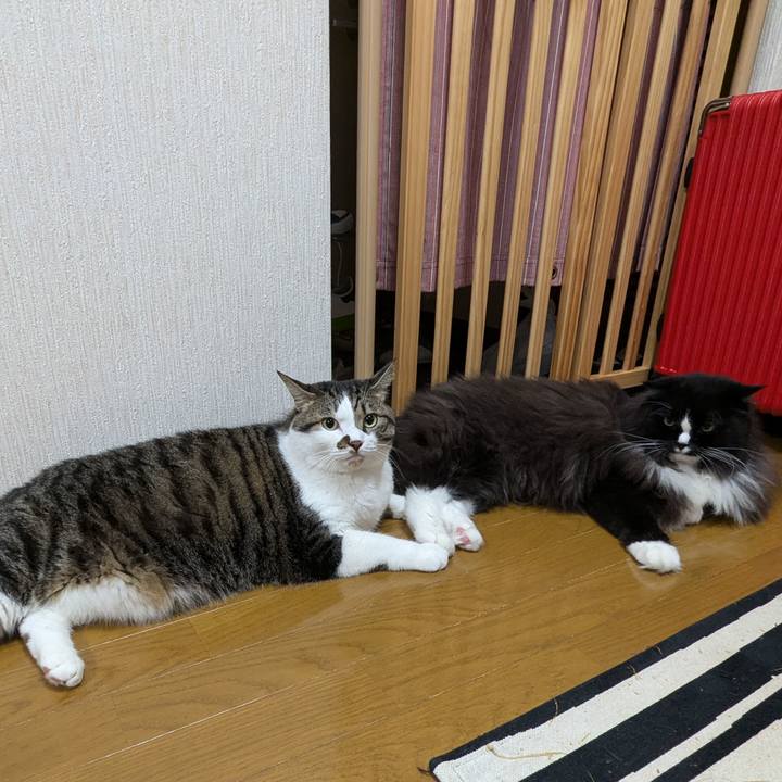 1975de49 c5e1 4576 85db baf34827624c 1727527429423