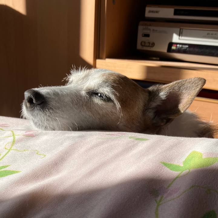 1975f742 d4ab 48fb a0e0 07b968c3269c 1736555576982